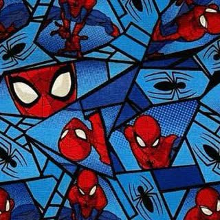 Estampa Homem-Aranha Triangular